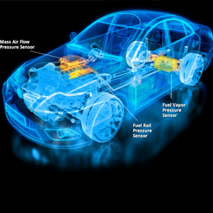 Merit Sensor Partnership